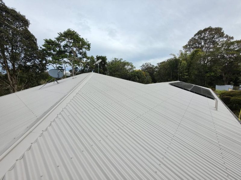 Roof Painting services in Wagga Wagga, New South Wales